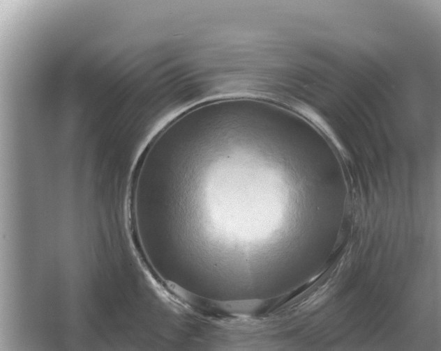 X0000067391101200604071747