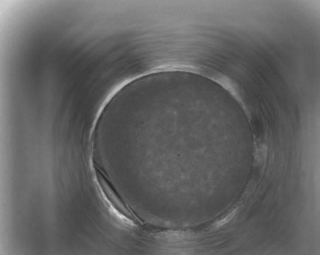 X0000067391102200604071747