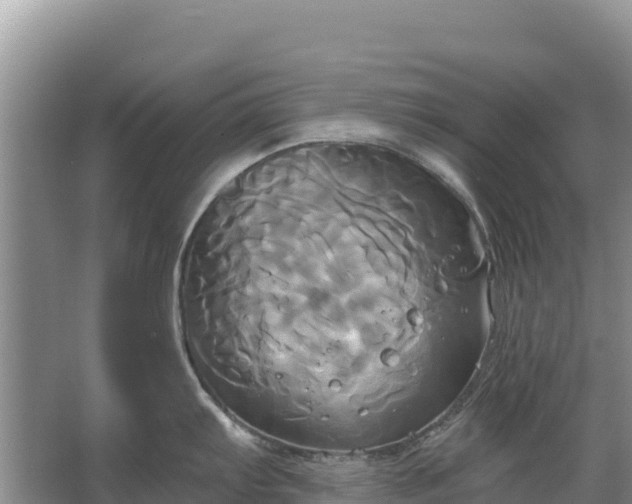 X0000067391103200604071747