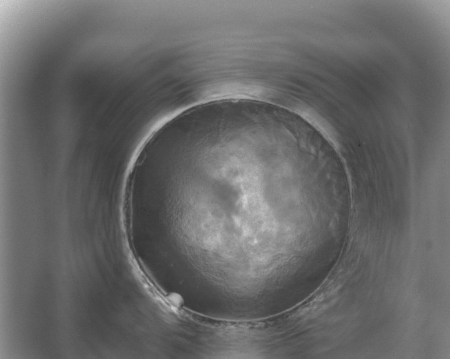 X0000067391104200604071747