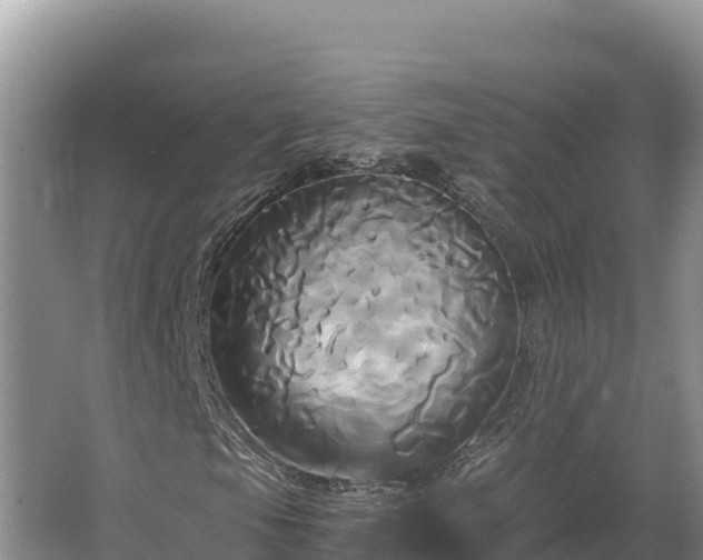 X0000067391105200604071746