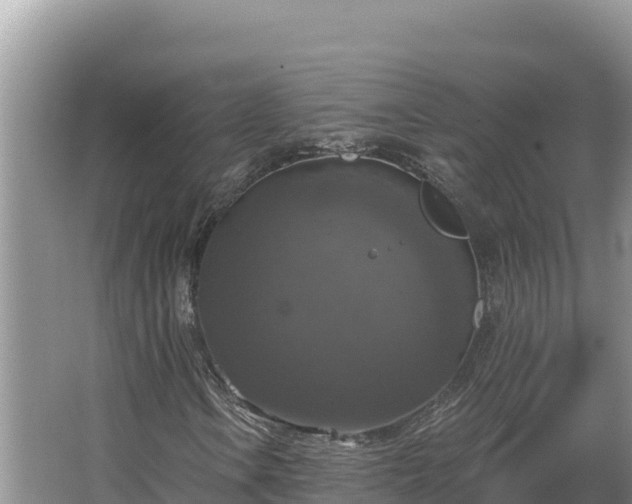 X0000067391106200604071746