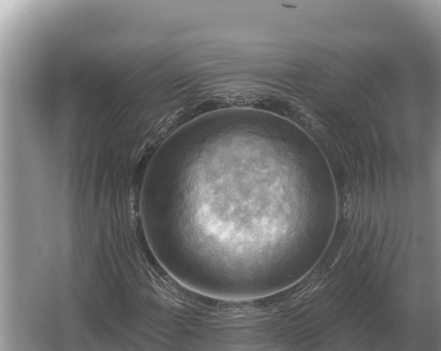 X0000067391108200604071746