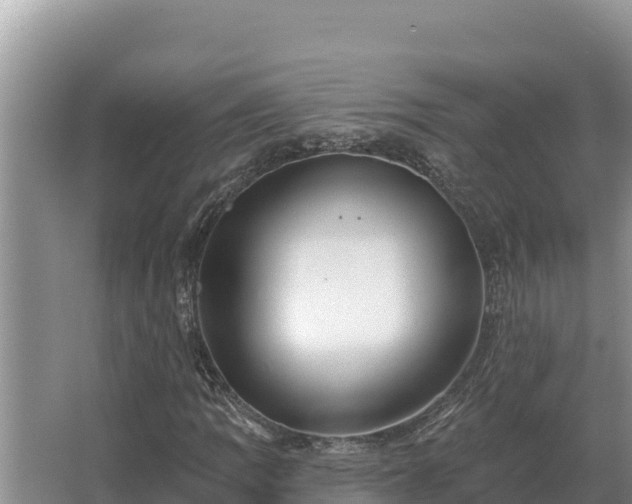 X0000067391109200604071746