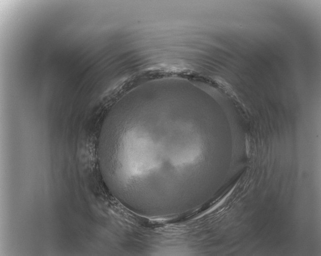 X0000067391110200604071746