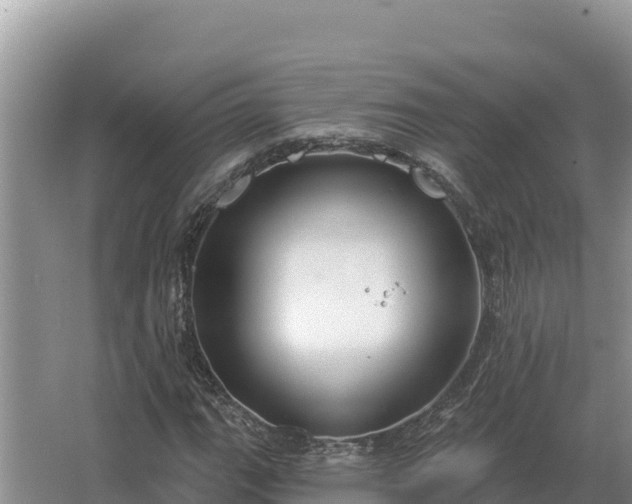 X0000067391111200604071746