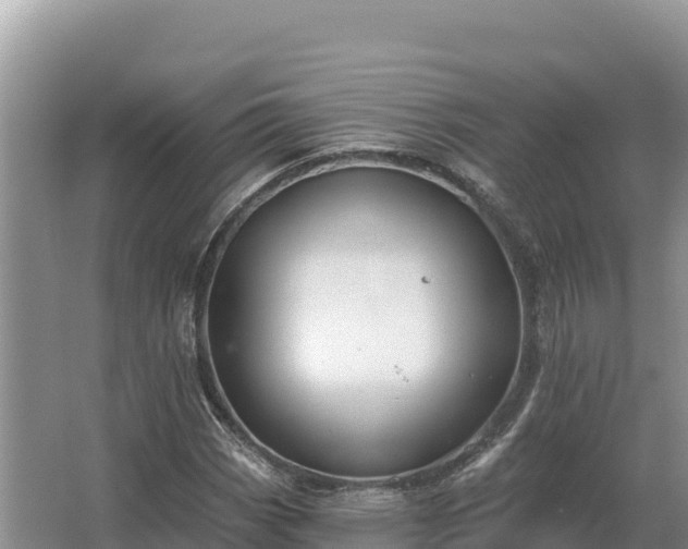 X0000067391113200604071746