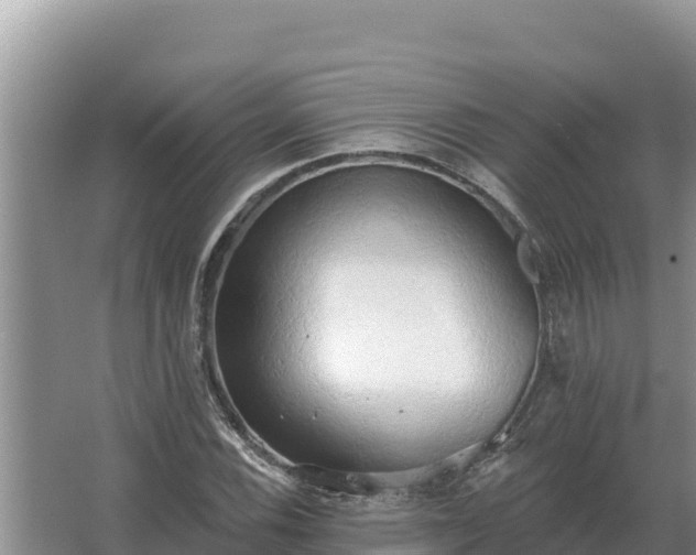 X0000067391116200604071746