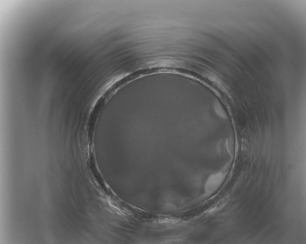 X0000067391117200604071746