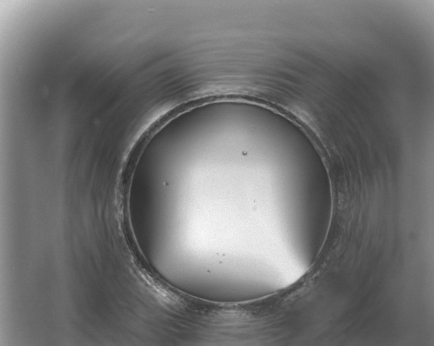 X0000067391119200604071746