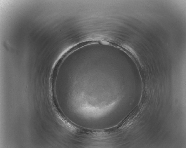 X0000067391120200604071746