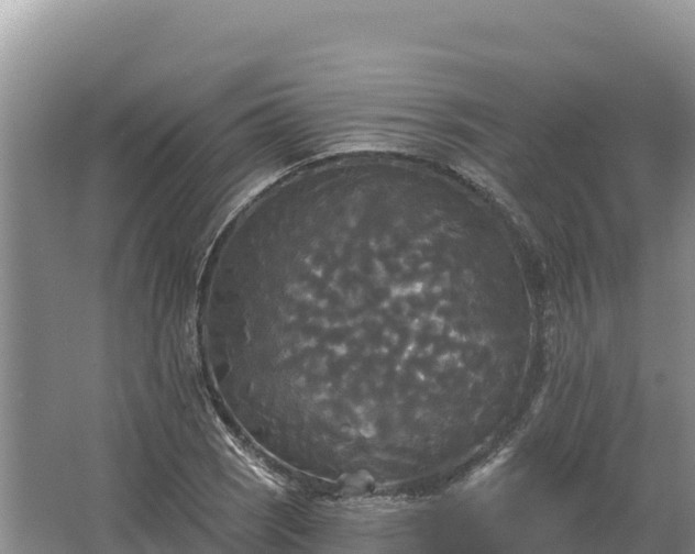 X0000067391121200604071746