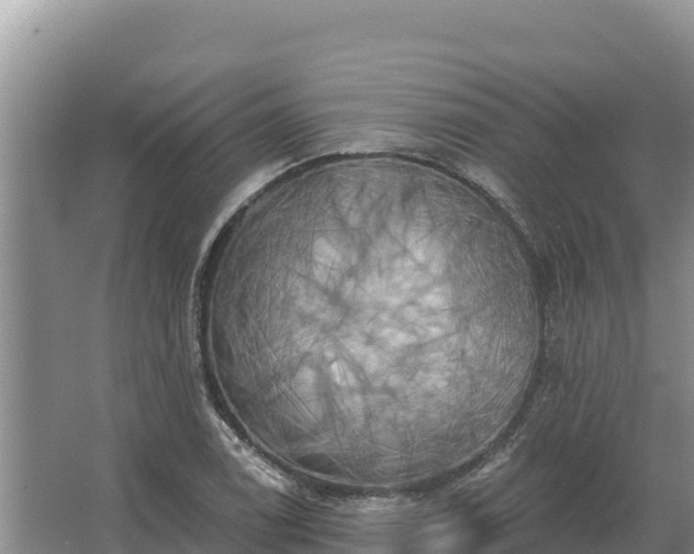 X0000067391122200604071746