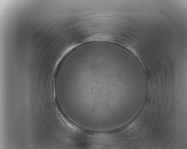 X0000067391123200604071746