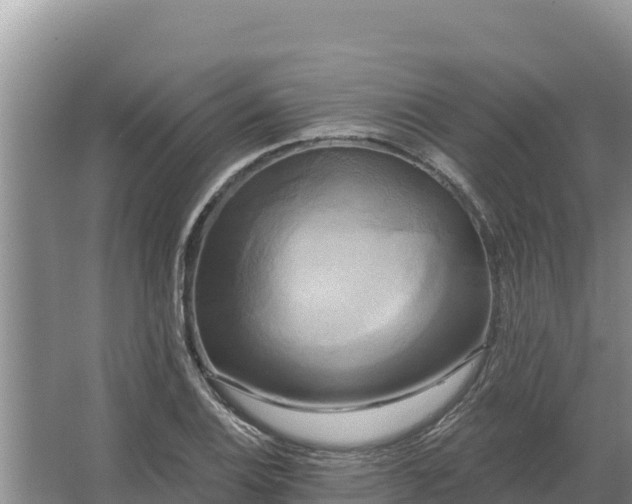 X0000067391124200604071746