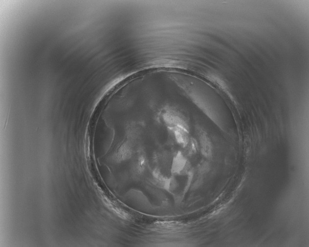 X0000067391125200604071746