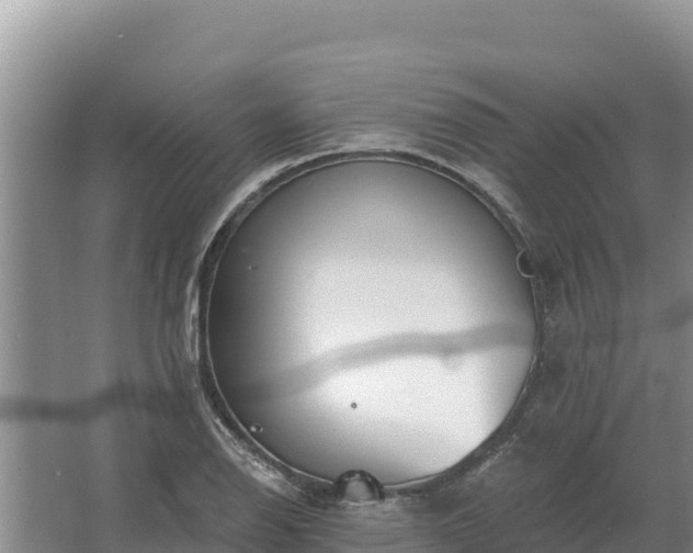 X0000067391126200604071746