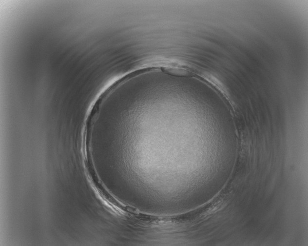 X0000067391128200604071746