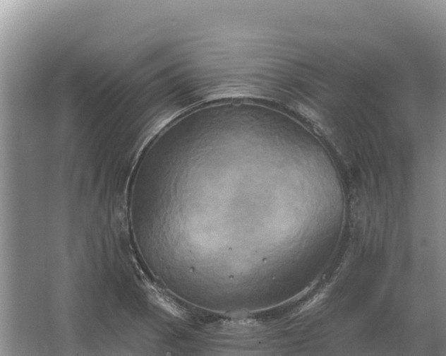 X0000067391129200604071746