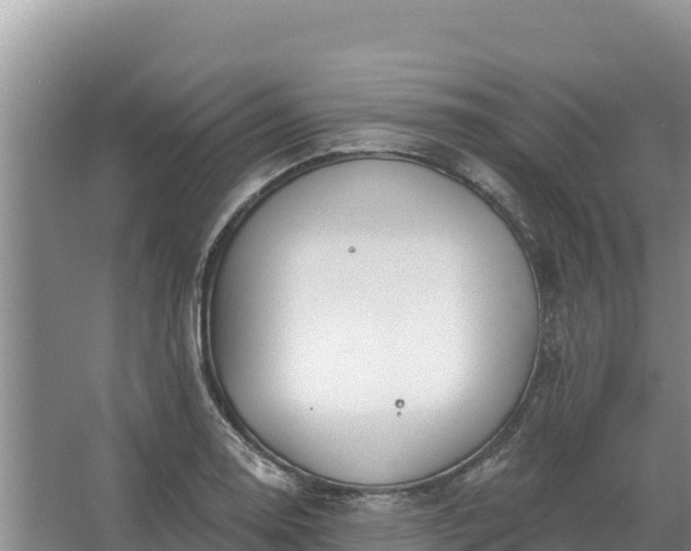 X0000067391130200604071746