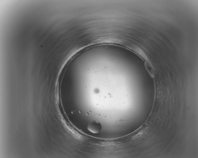 X0000067391132200604071747