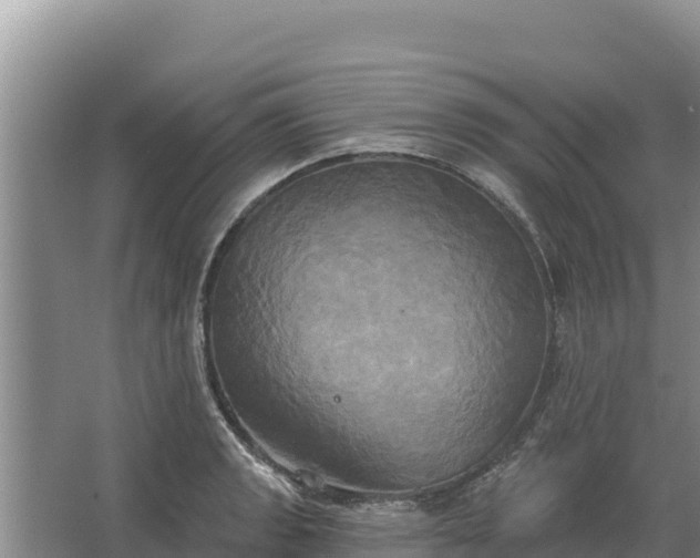 X0000067391133200604071747