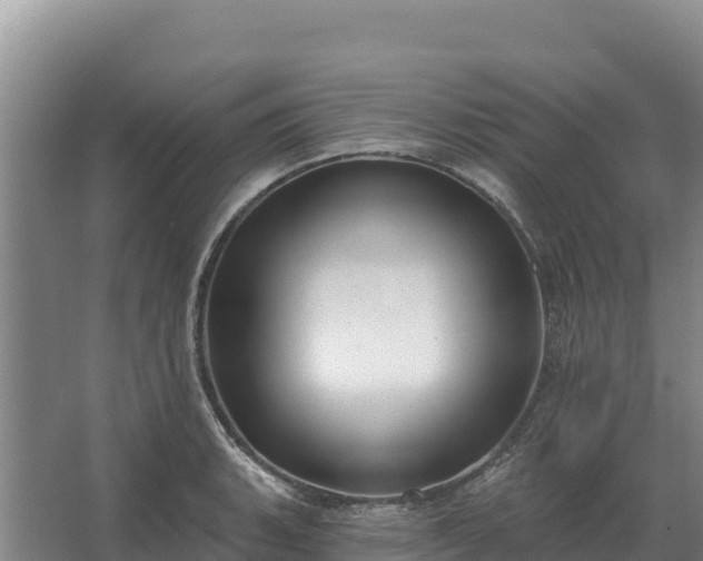 X0000067391135200604071747