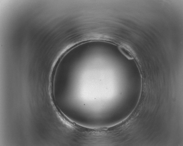 X0000067391136200604071747