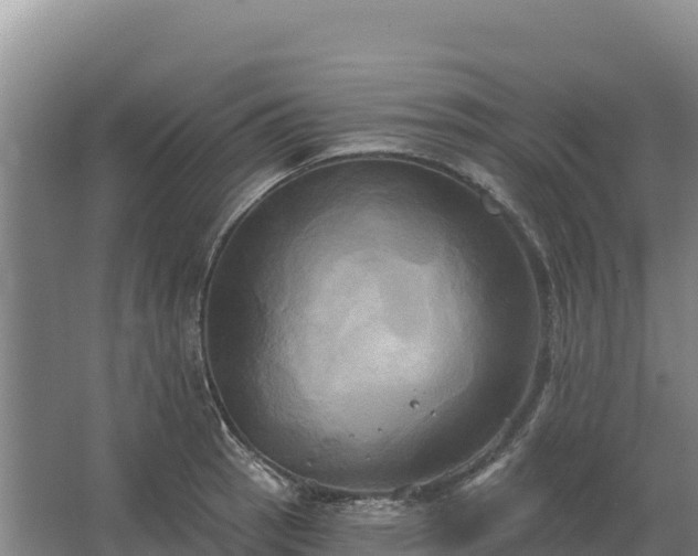 X0000067391137200604071747