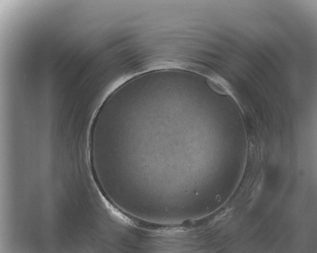 X0000067391143200604071747