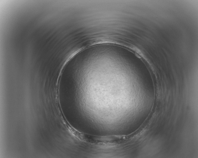 X0000067391145200604071747