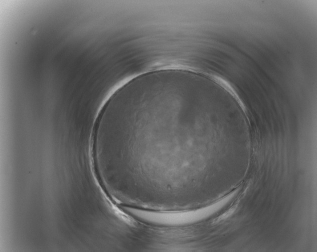 X0000067391149200604071747