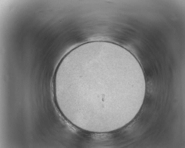 X0000067391150200604071747