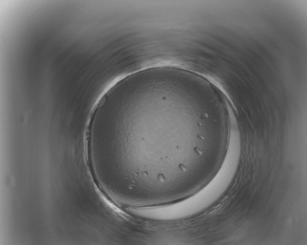 X0000067391151200604071747