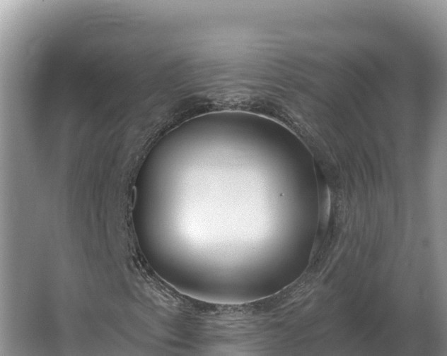 X0000067391153200604071746