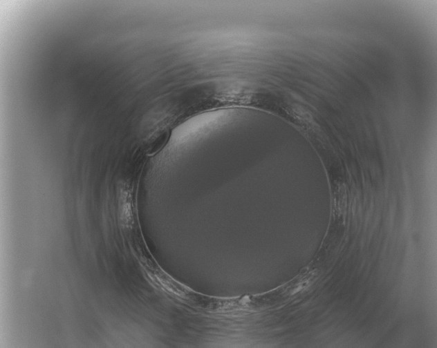 X0000067391154200604071746