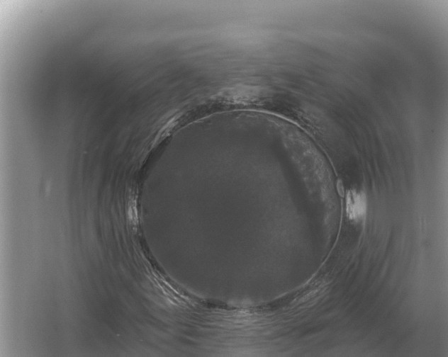 X0000067391155200604071746