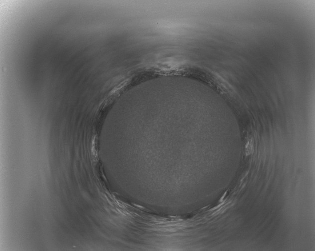 X0000067391156200604071746