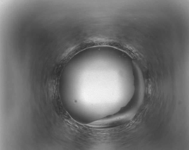 X0000067391157200604071746