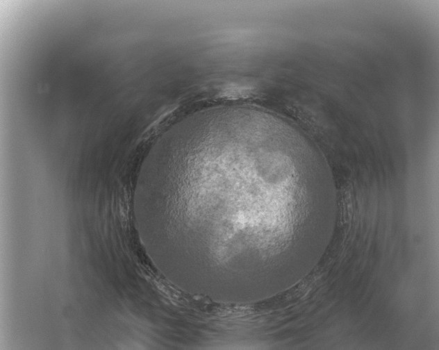 X0000067391158200604071746