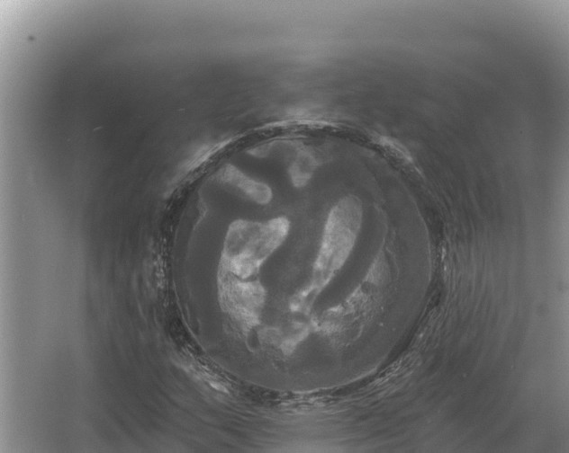 X0000067391159200604071746