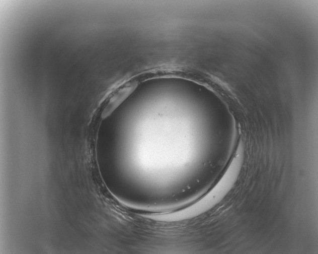 X0000067391160200604071746