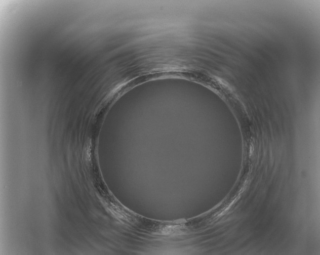 X0000067391161200604071746