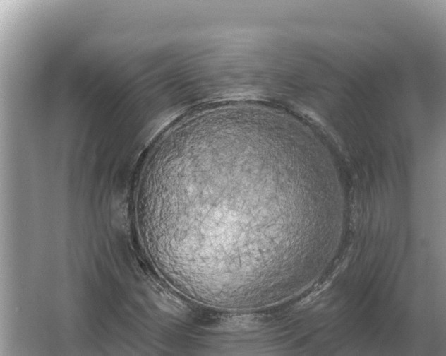 X0000067391162200604071746