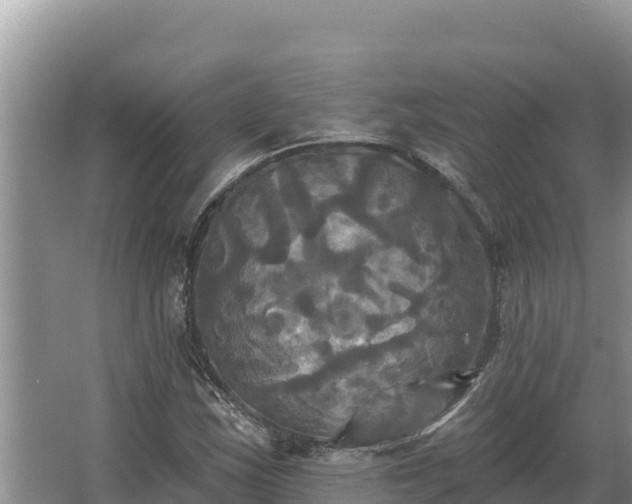 X0000067391163200604071746