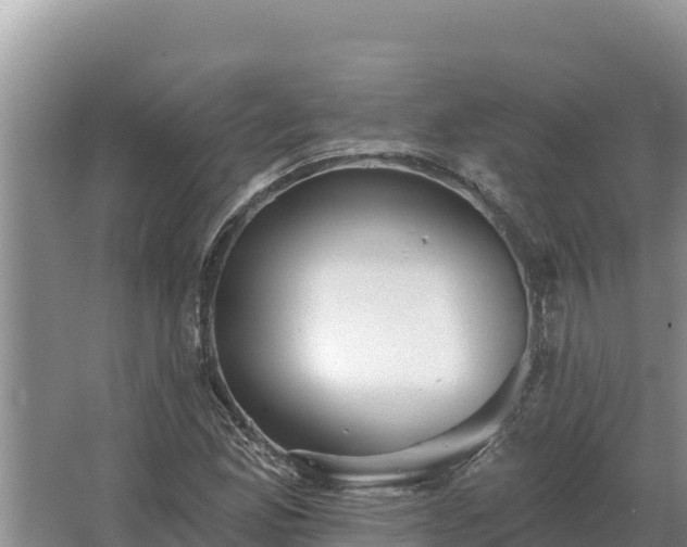 X0000067391165200604071746