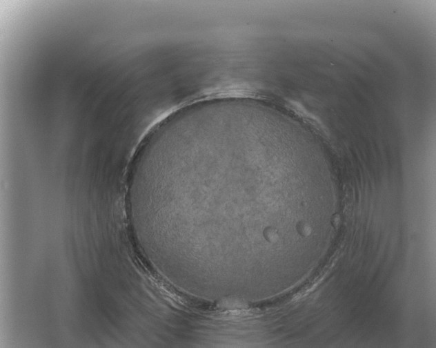 X0000067391166200604071746