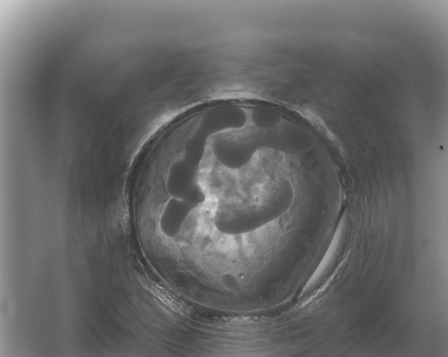 X0000067391167200604071746