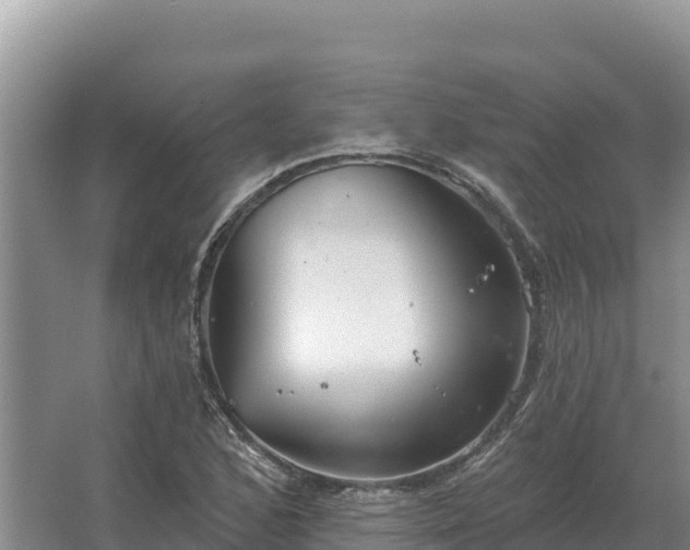 X0000067391168200604071746