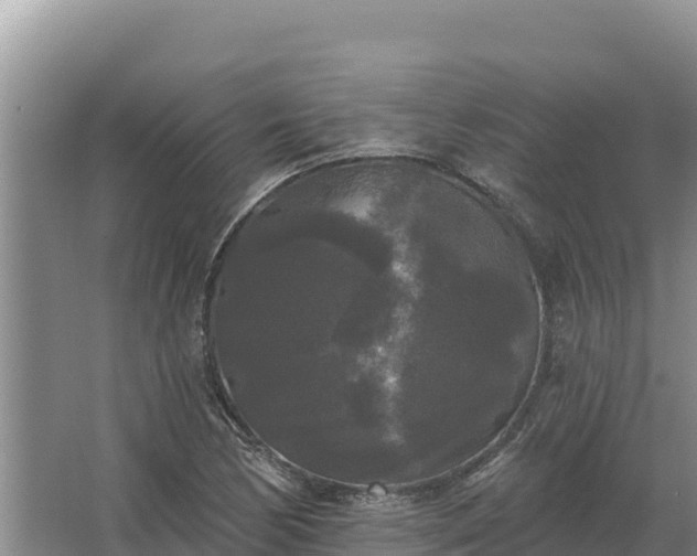 X0000067391170200604071746